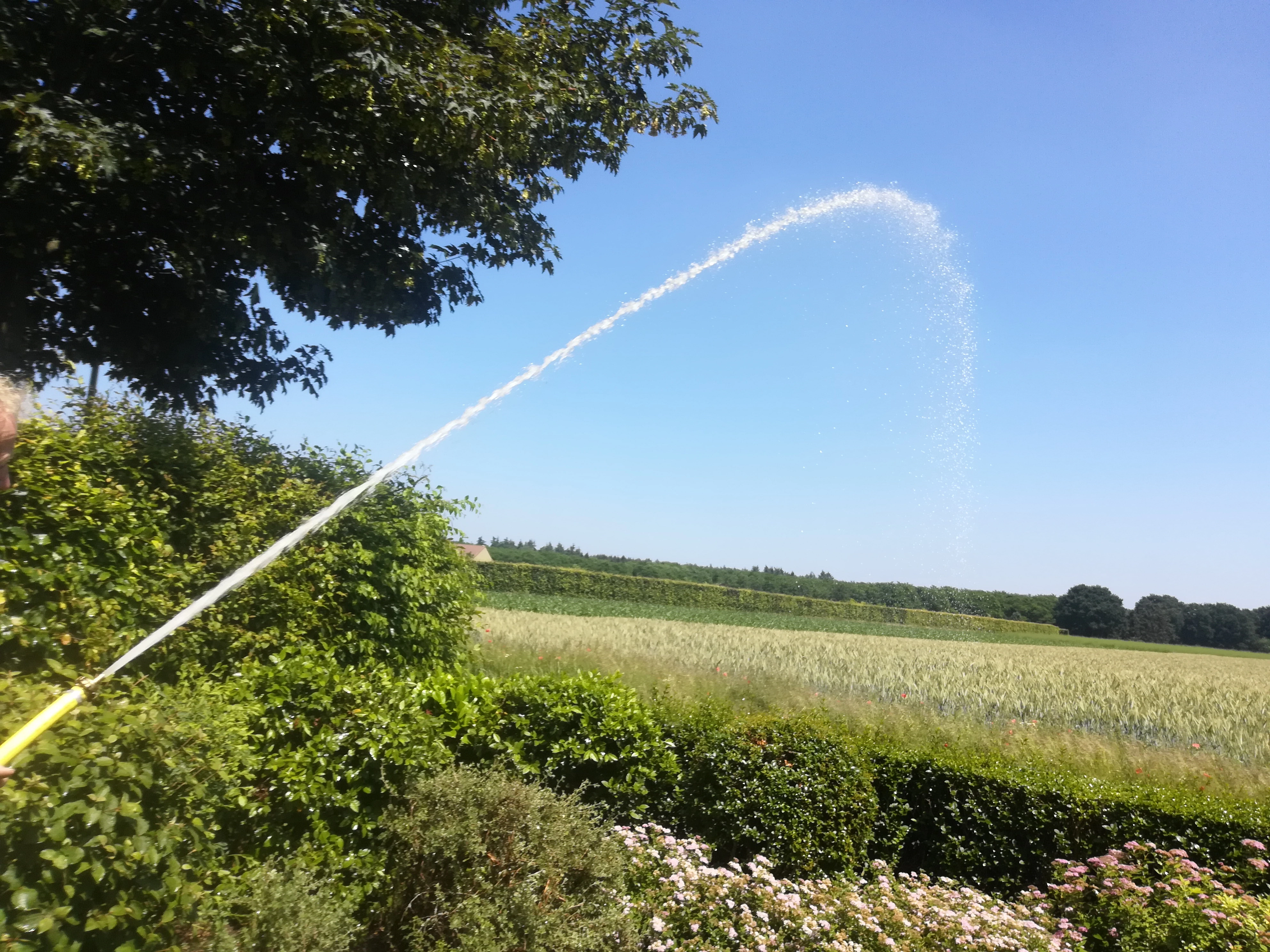 Tuinberegening met grondwater uit eigen waterput